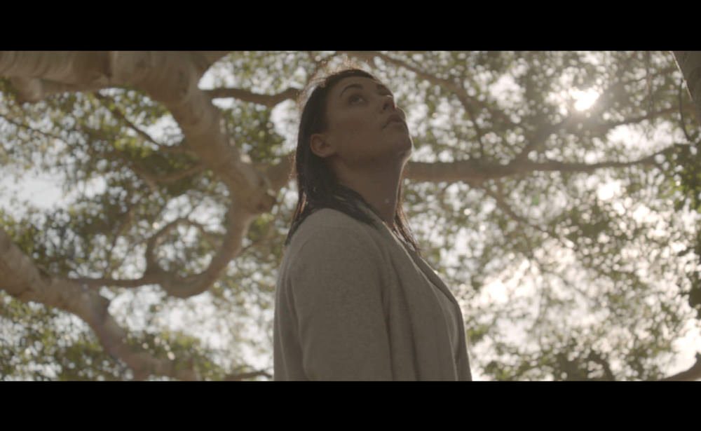 CSIRO7